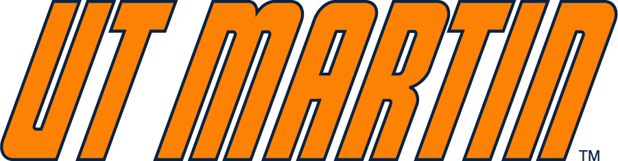 Tennessee-Martin Skyhawks 2007-Pres Wordmark Logo diy iron on heat transfer